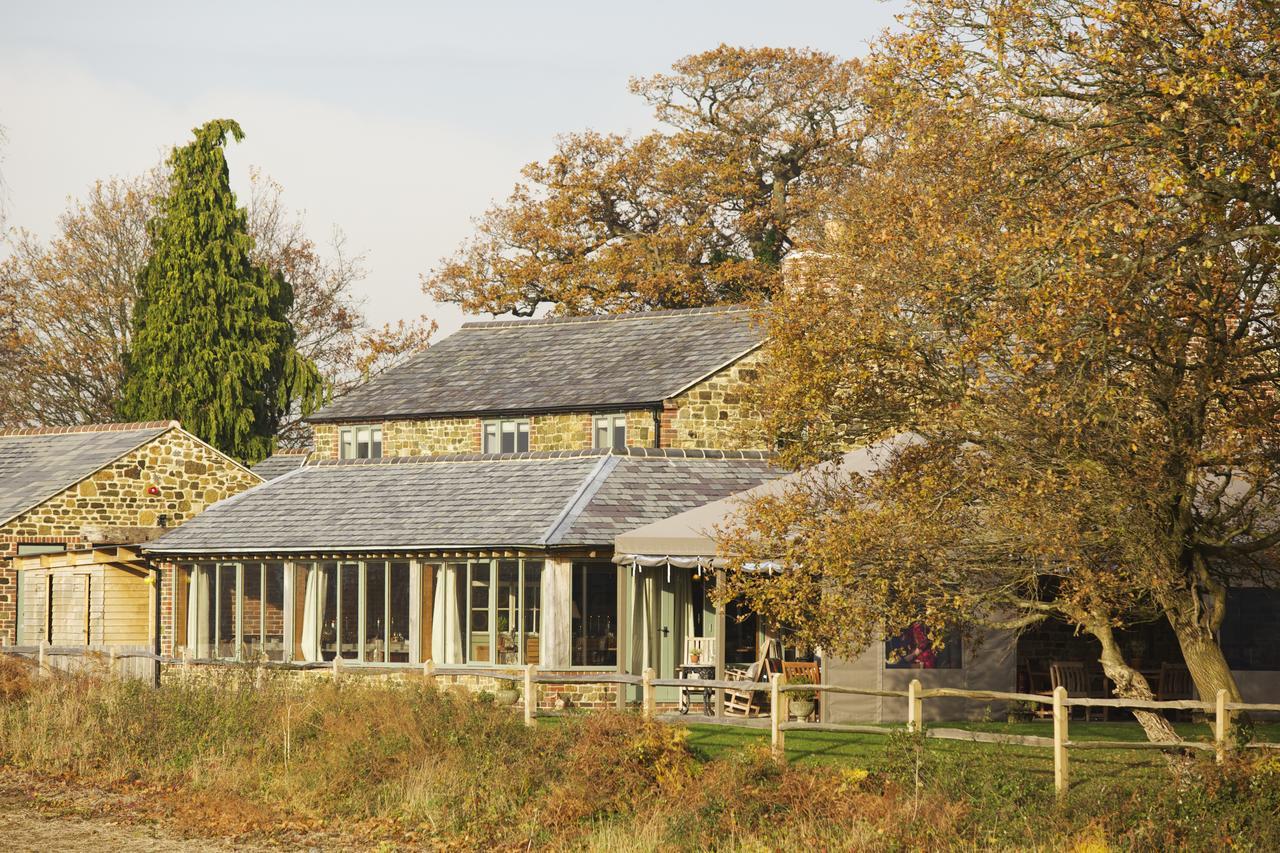 The Welldiggers Arms Bed and Breakfast Petworth Eksteriør billede